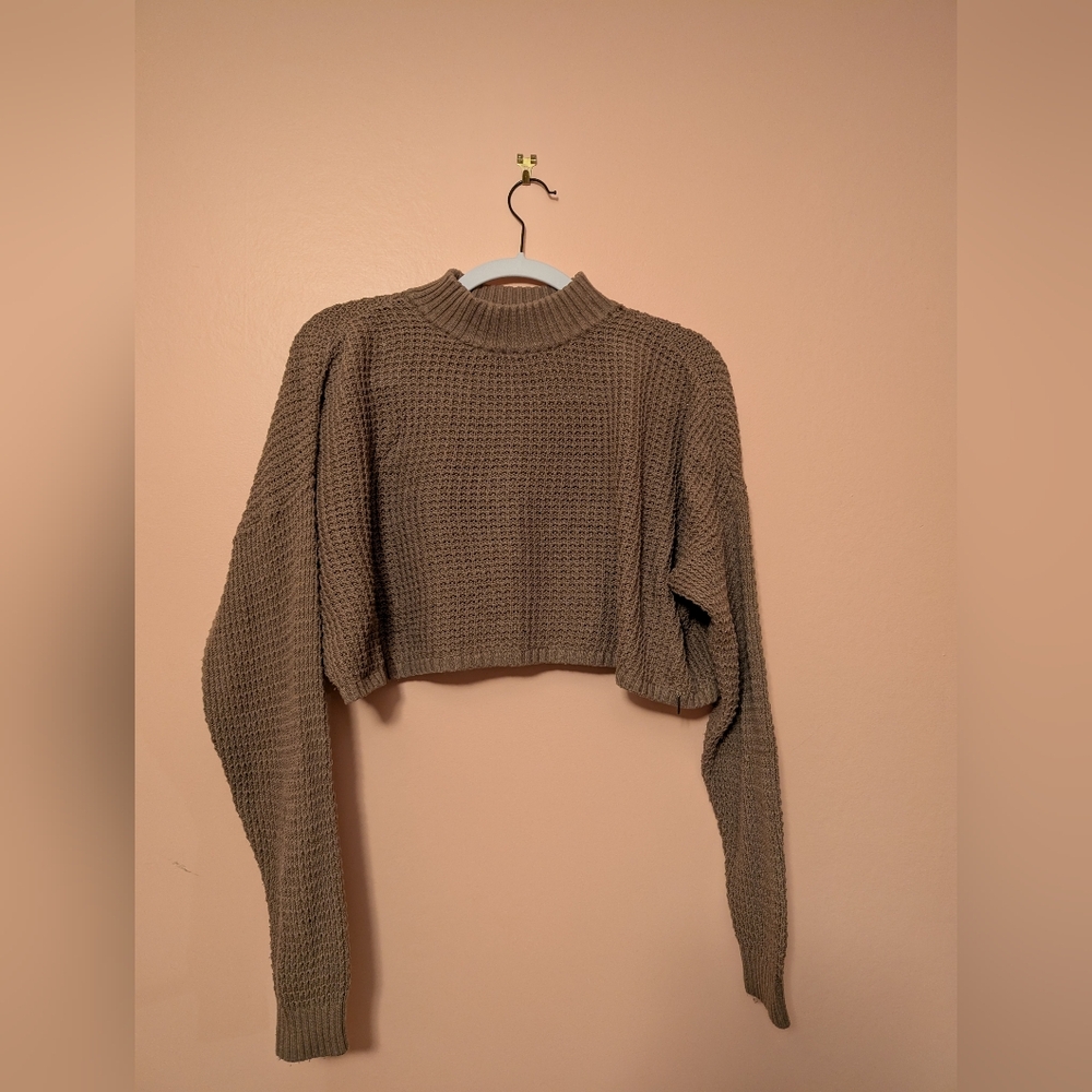 Hollister Cropped Sweater